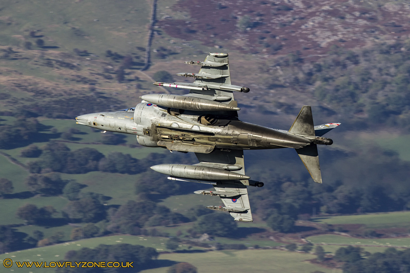 RAF Harrier GR9