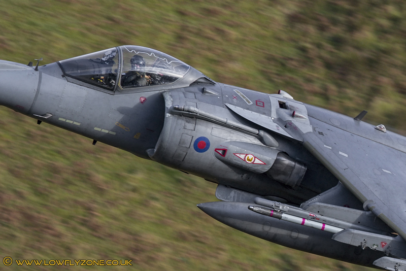 RAF Harrier GR9
